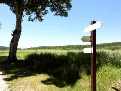 Saucourt-sur-Rognon, chemins de randonnée (01)