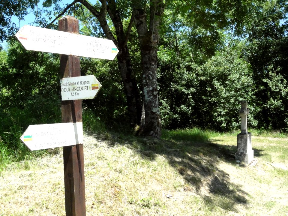 Saucourt-sur-Rognon, chemins de randonnée (02)