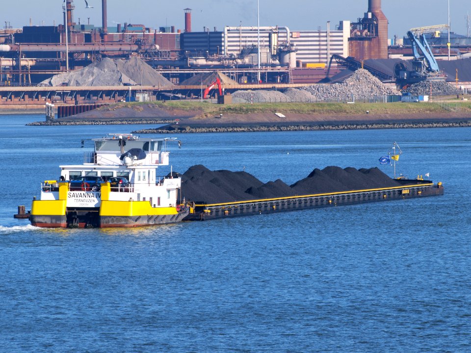 Savanna IV - IMO 2320354 at IJmuiden photo-2