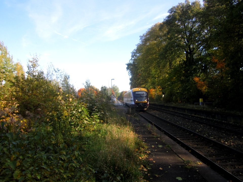 SBS 642 Langebrück