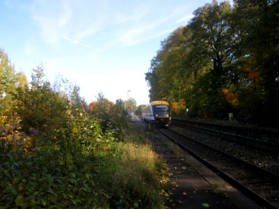 SBS 642 Langebrück