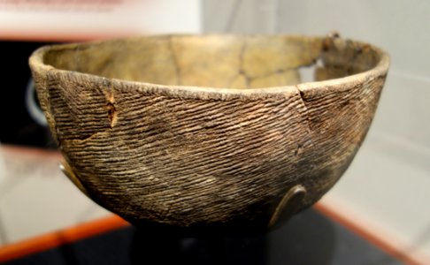 Savannah cord marked bowl, St. Catherines Period, AD 800-1300 - Fernbank Museum of Natural History - DSC00192