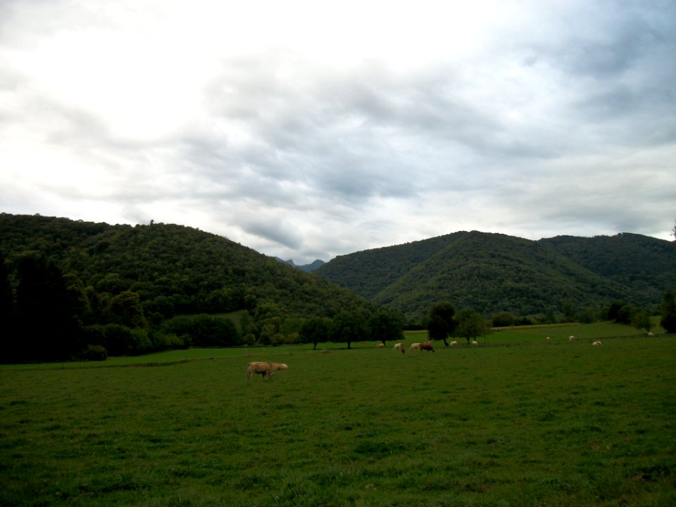 Sauveterre-de-Comminges - hameau de Bruncan 10