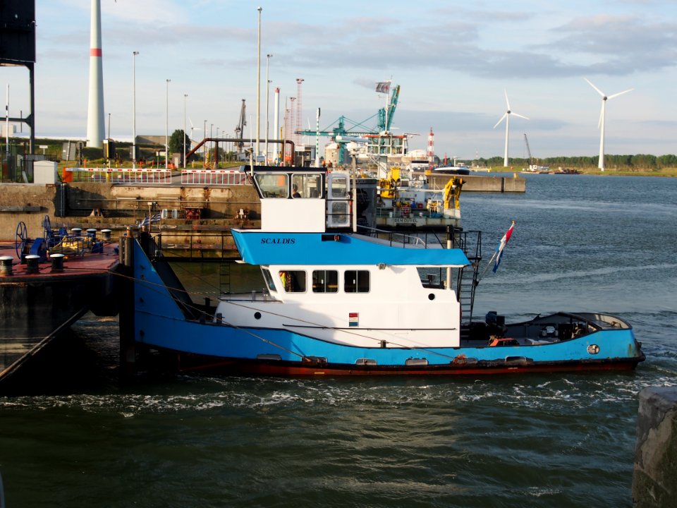 Scaldis (ship, 1982), ENI 02318173, Port of Antwerp pic2