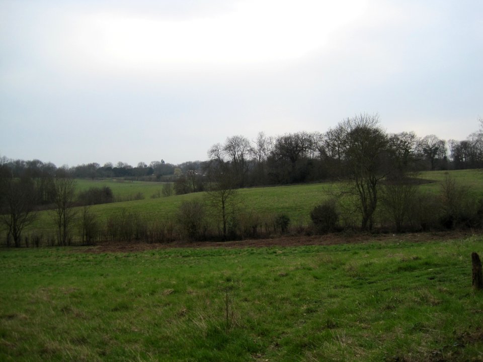 Scadbury Park fields