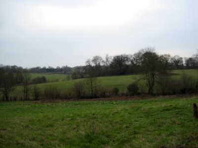 Scadbury Park fields