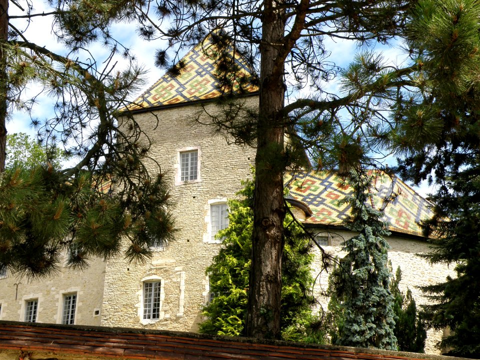 Santenay Château 2