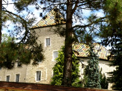 Santenay Château 2