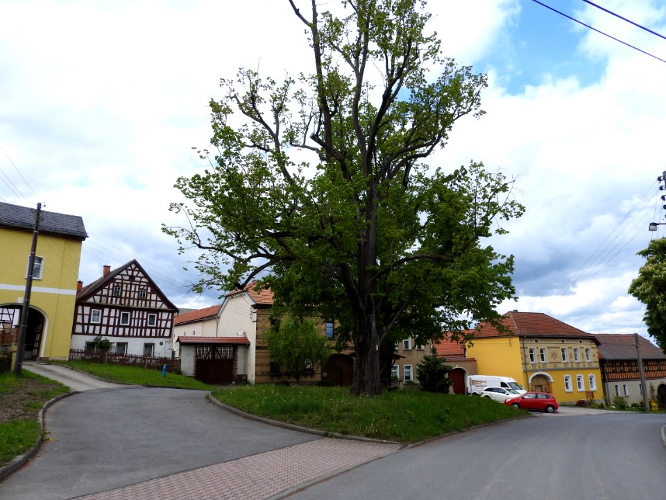 Schmieritz 08