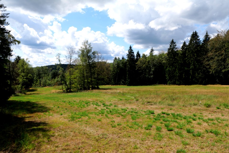 Schmittröder Wiesen Taunus 2020-08-18 08