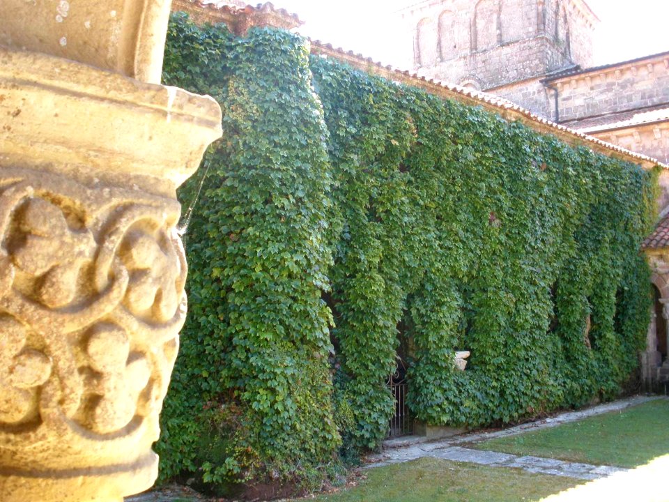 Santillana del Mar - Colegiata de Santa Juliana, claustro, capiteles 14