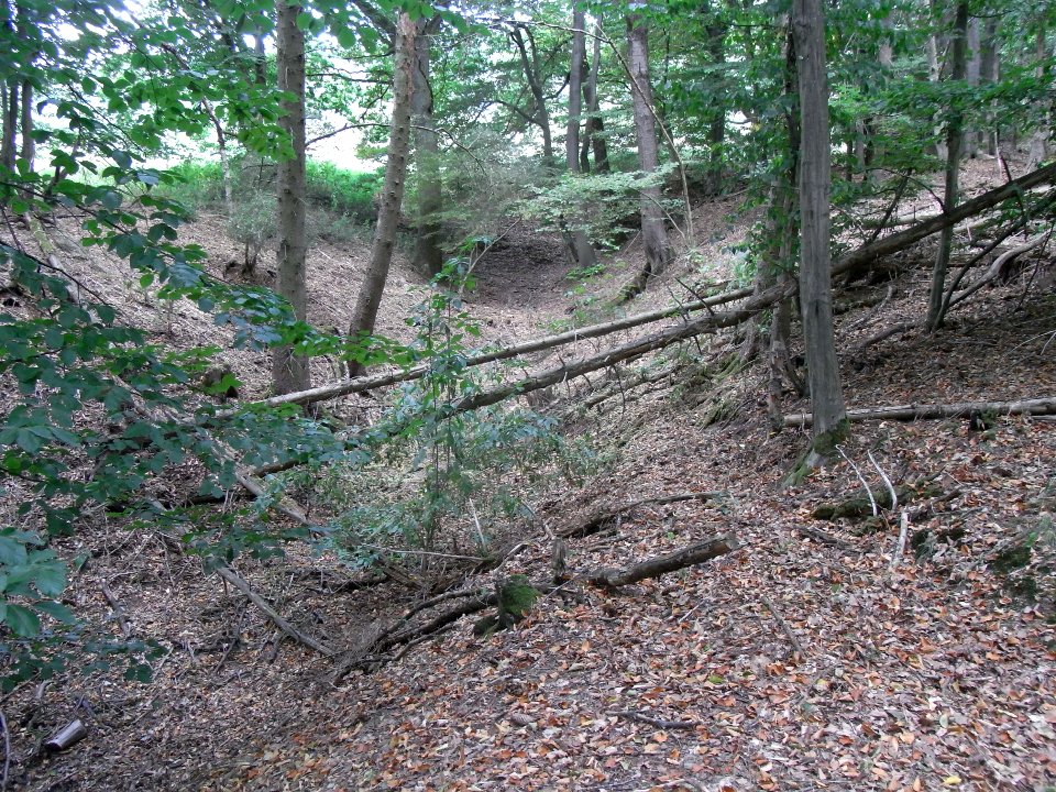 Schmalbach Wasserwerk Wernborn Runse zur Wiese R0018666