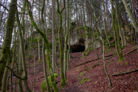 Schmidberghöhle bei Hirschbach (A 123) 002