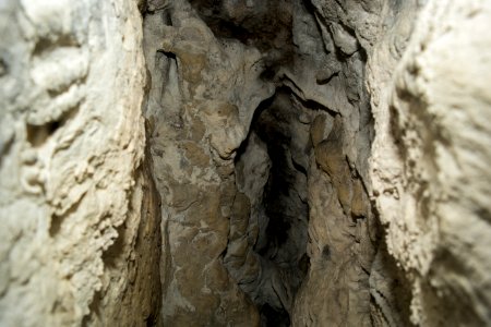Schmidberghöhle bei Hirschbach (A 123) 030