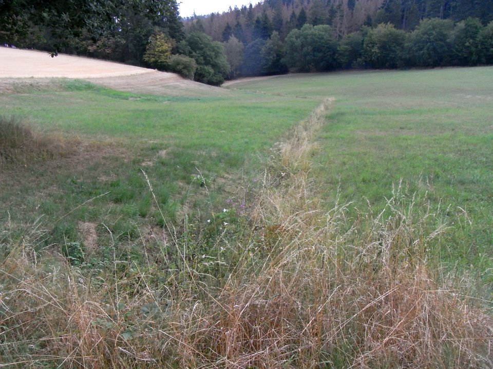 Schmalbach km 1,3 abwärts R0018681