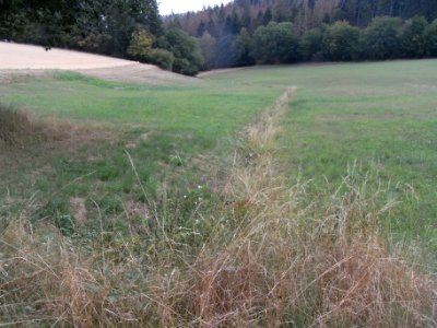 Schmalbach km 1,3 abwärts R0018681