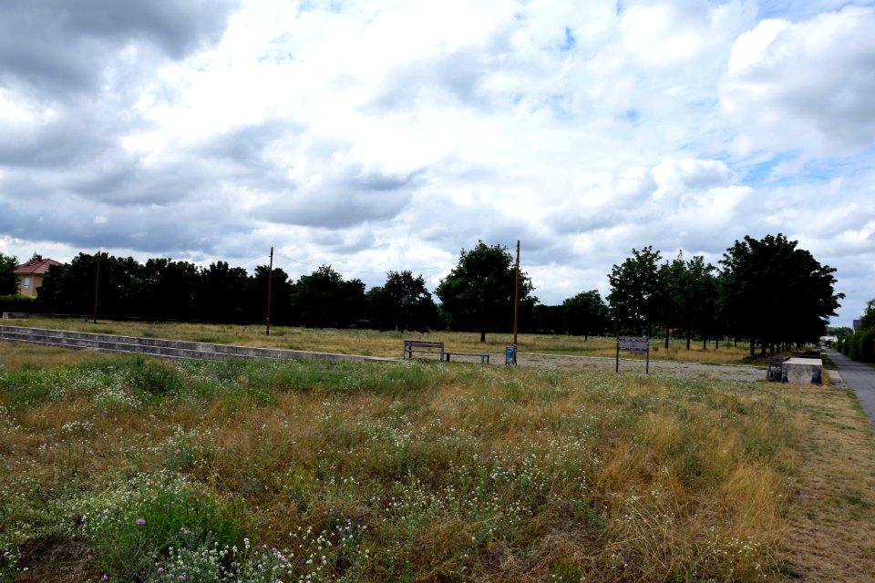 Schmetterlingswiesen und Stadtpark Biesdorf