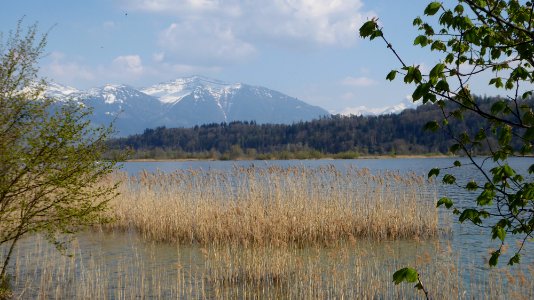 Schmerikon - Blick auf Speer
