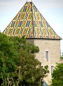 Santenay Château 5