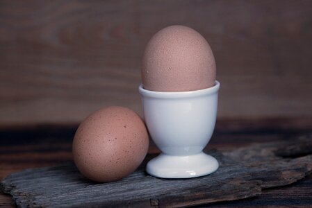 Boiled egg food nutrition photo