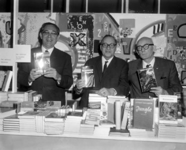 ScholteLastVanKampen1966