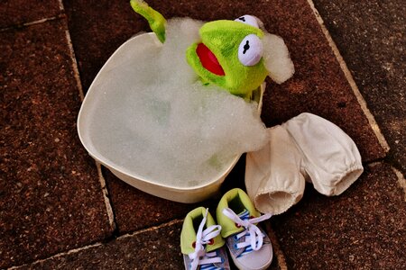 Funny frog cute