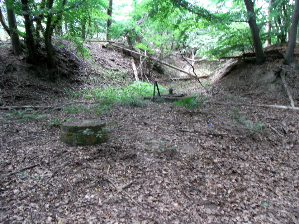 Schmalbach Zufluss vom FFH+Wasserwerk Wassergewinnnung R0018661