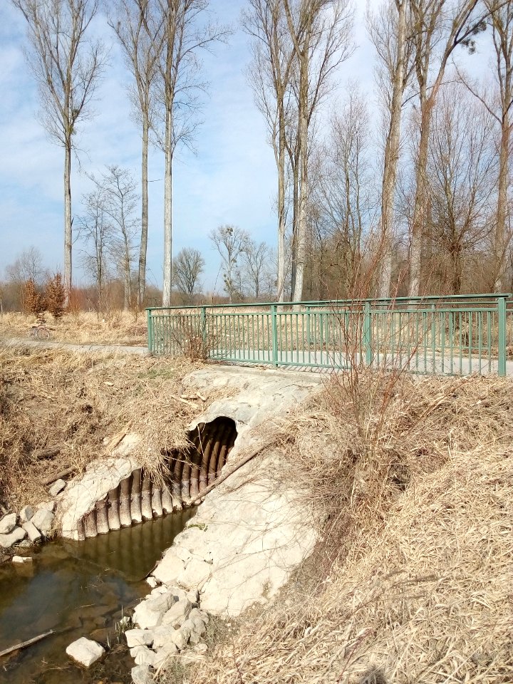 Schlute Langes Loch - Altthein Insel Rott, Durchlass