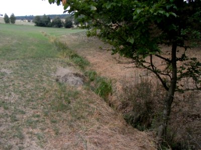 Schmalbach Sukzession R0018676
