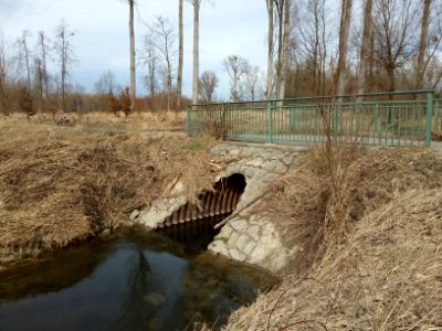 Schlute Langes Loch - Altthein Insel Rott, Durchlass (2)