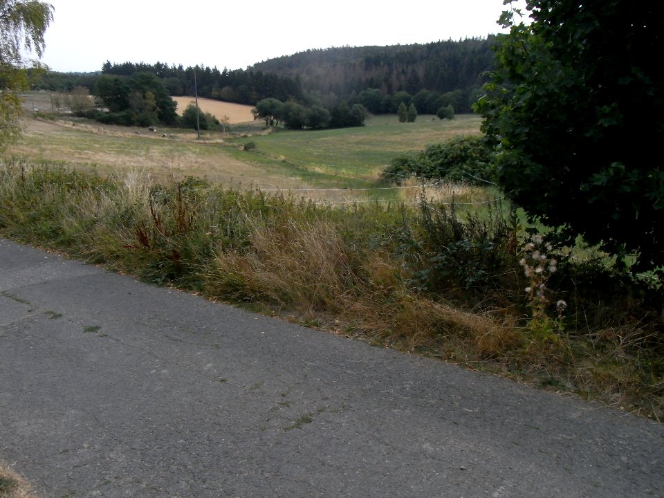 Schmalbach von Weg Birkenhof abwärts R0018692