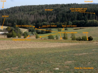 Schmalbach Tal ab Quelle