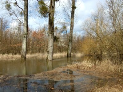 Schlute Sandwiesenschlag, südliche Furt bei Hochwasser (2)