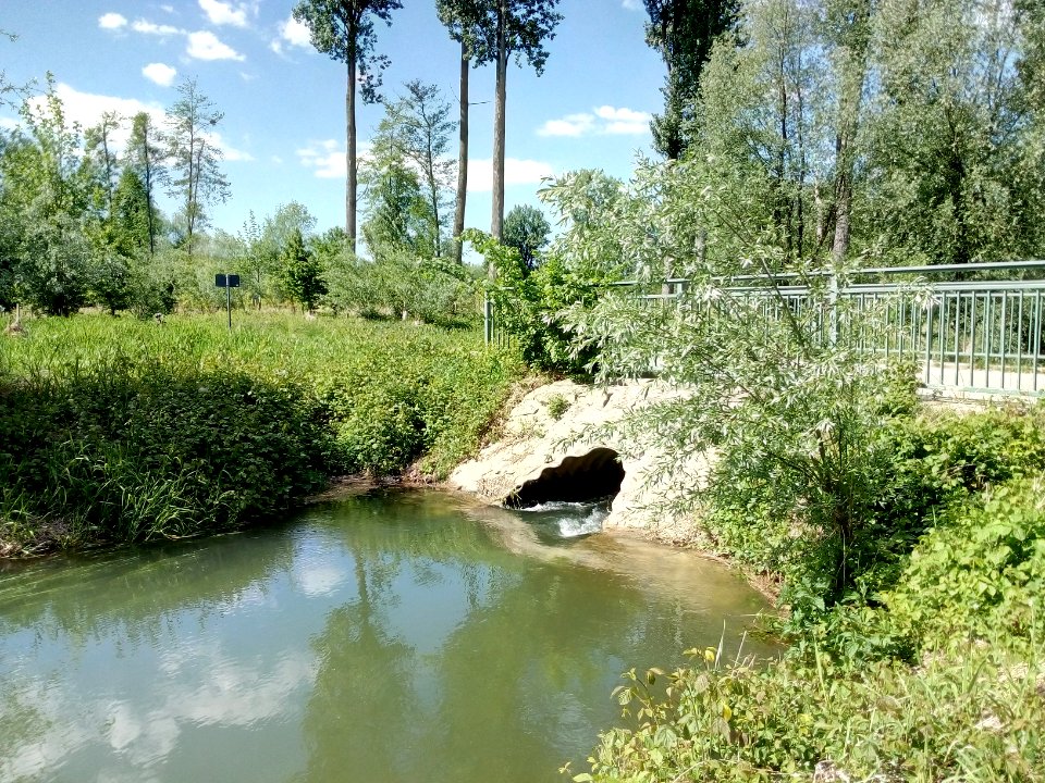 Schlute Langes Loch - Altthein Insel Rott, Durchlass (4)
