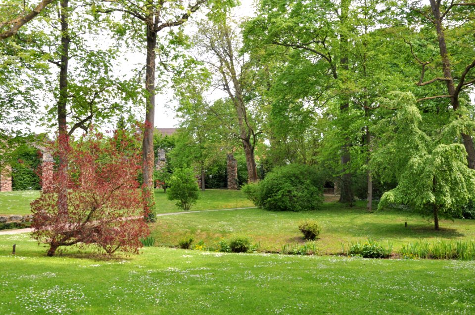 Schlossgarten Schwetzingen 218