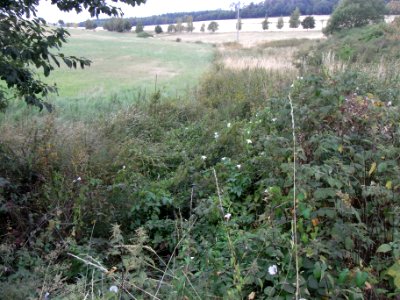 Schmalbach Durchlass Weg Teich aufwärts R0018683