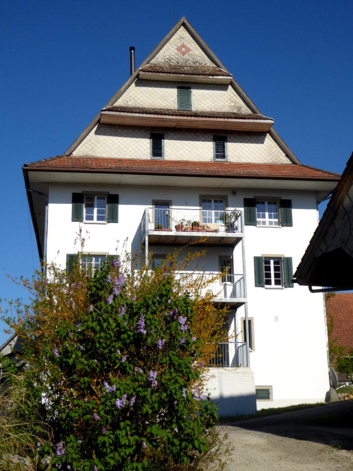 Schloss Wittenwil TG