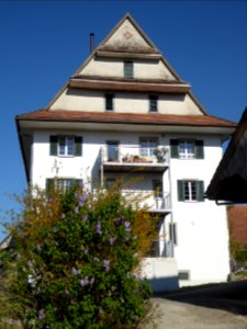 Schloss Wittenwil TG