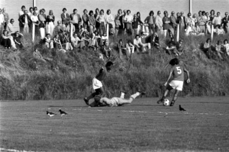 Scholeksters op het voetbalveld, Bestanddeelnr 928-0695