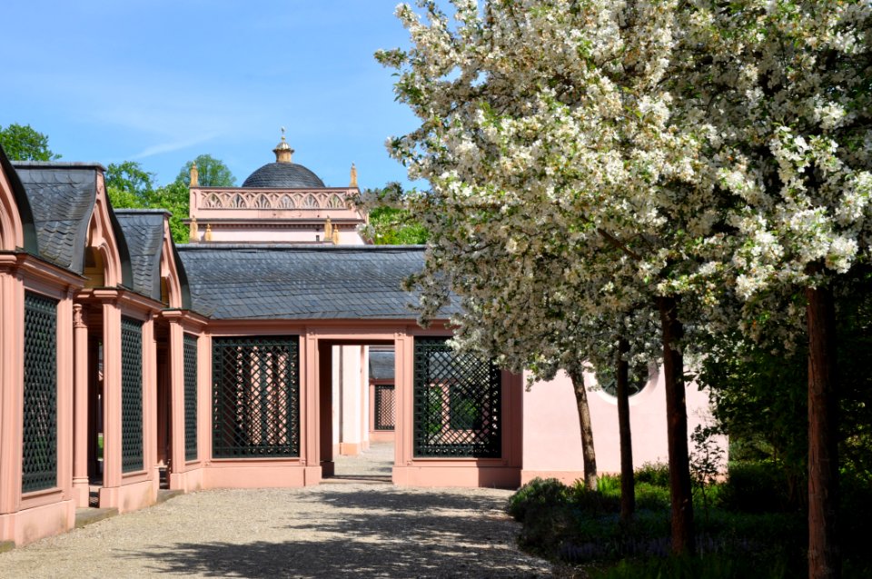 Schlossgarten Schwetzingen 139