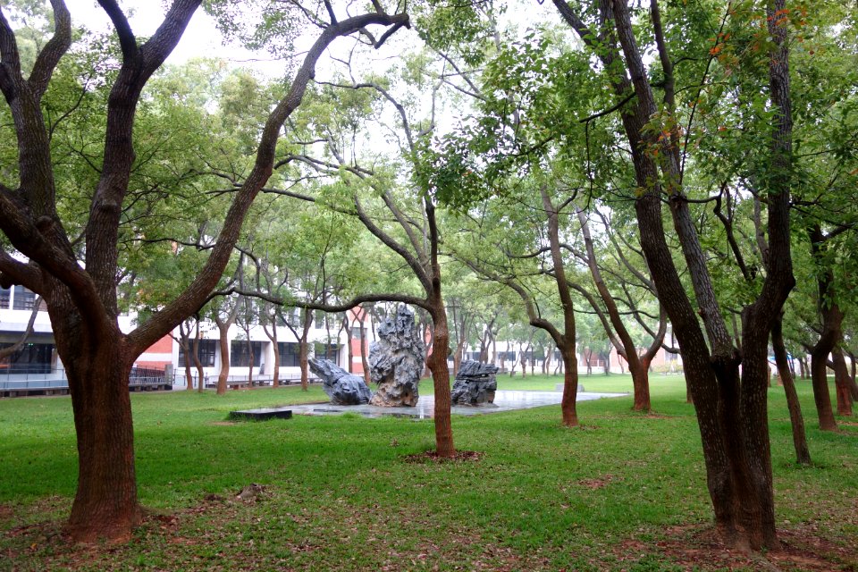 Scholar stones - Tunghai University - DSC01406