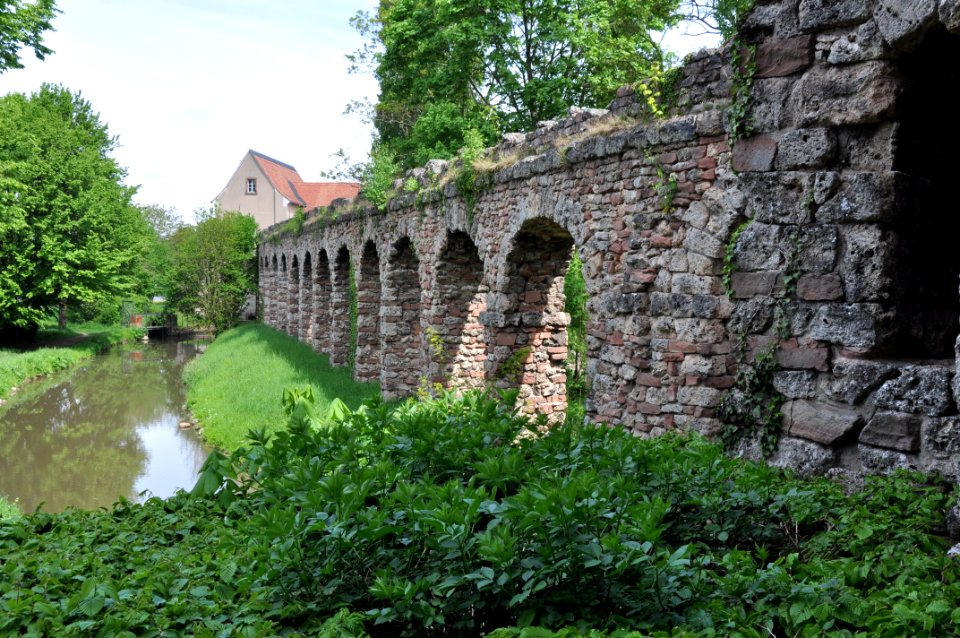 Schlossgarten Schwetzingen 232