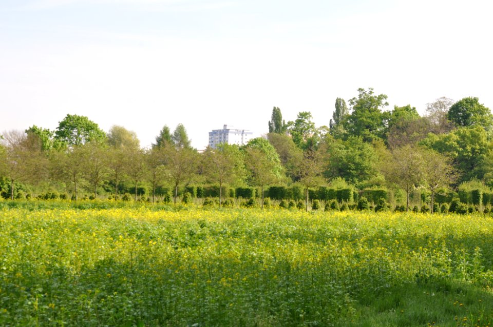 Schlossgarten Schwetzingen 088