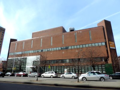 Schomburg NYPL sunny midday jeh