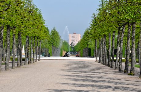 Schlossgarten Schwetzingen 171