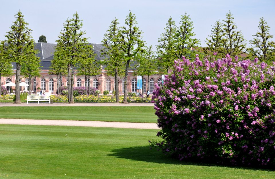 Schlossgarten Schwetzingen 177