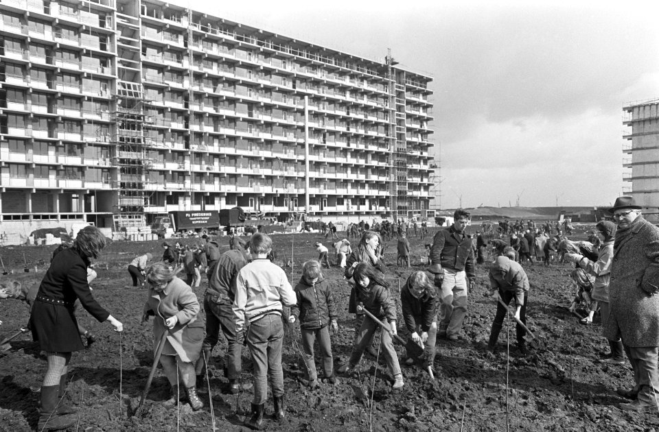 Scholieren planten bomen in Bijlmermeer. De scholieren aan het werk, Bestanddeelnr 921-2228