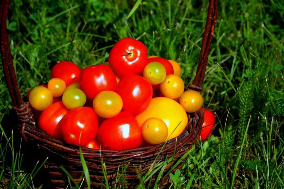 Vitamins nature vegetables