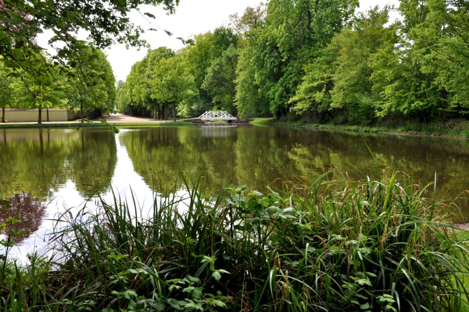 Schlossgarten Schwetzingen 217
