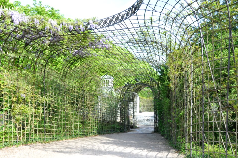Schlossgarten Schwetzingen 038